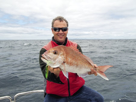 falling lures for snapper